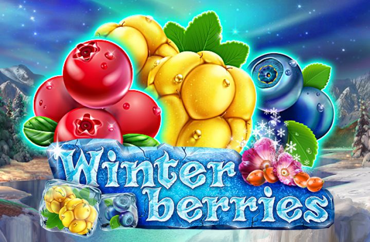 Review Game Slot Winterberry